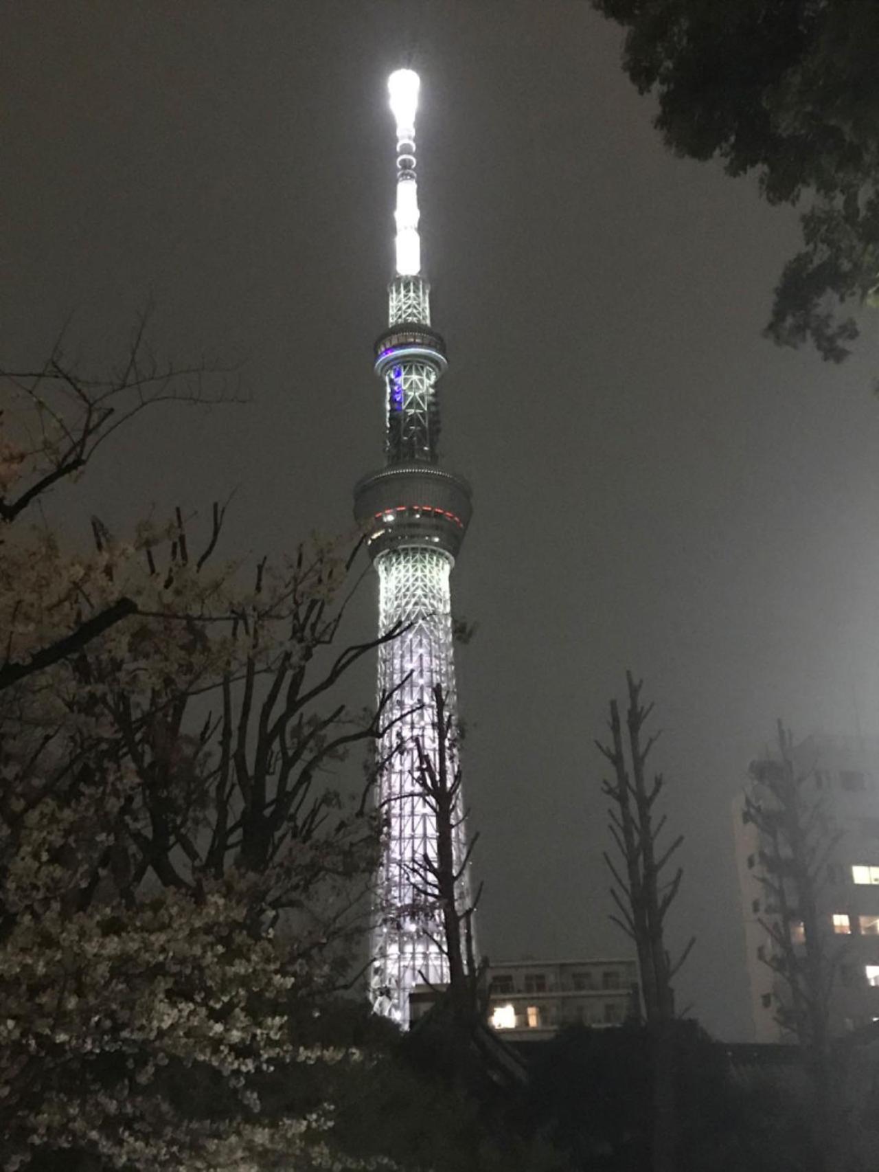 Sky Tree Inn Tokyo Esterno foto