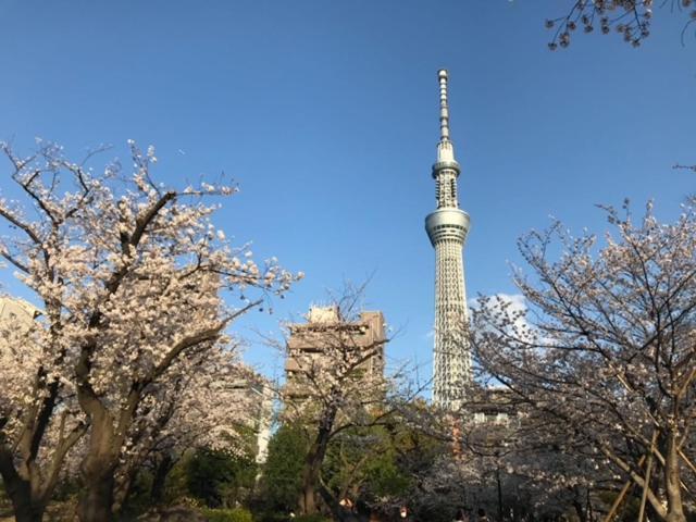 Sky Tree Inn Tokyo Esterno foto