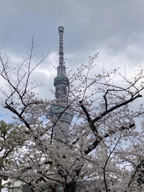 Sky Tree Inn Tokyo Esterno foto